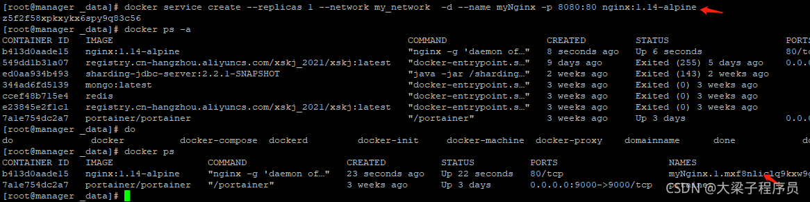 docker 多个容器挂载同一个目录 docker部署多台服务器_docker 多个容器挂载同一个目录_12