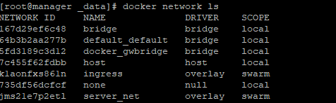 docker 多个容器挂载同一个目录 docker部署多台服务器_Docker_30