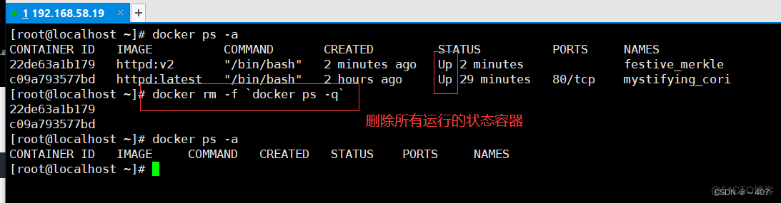 docker 部署环境 docker如何部署_Docker_54