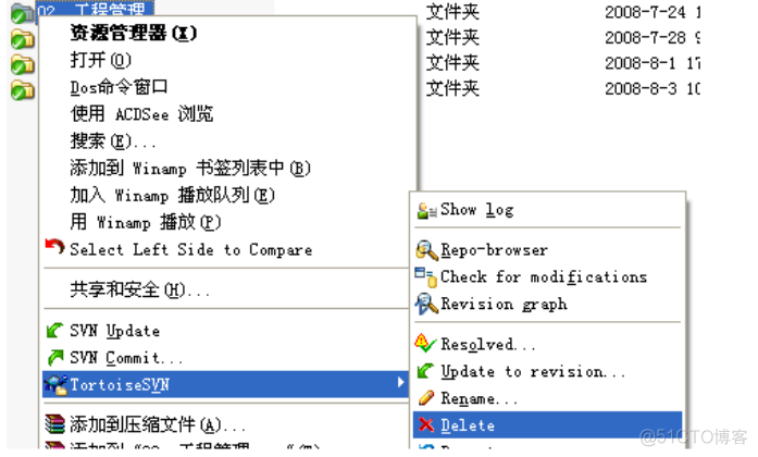 TortoiseSVN 详细操作指南_版本控制_21