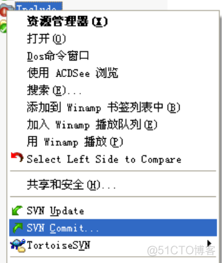TortoiseSVN 详细操作指南_SVN_26