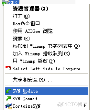 TortoiseSVN 详细操作指南_版本库_29