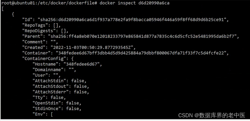 极客云 docker 数据备份 极客云官方_linux_04