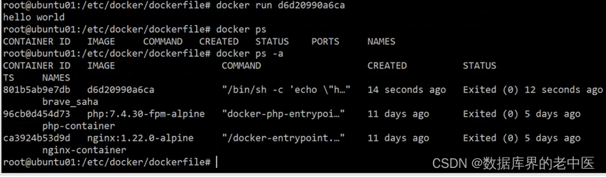 极客云 docker 数据备份 极客云官方_极客云 docker 数据备份_05