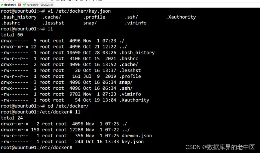 极客云 docker 数据备份 极客云官方_nginx_89