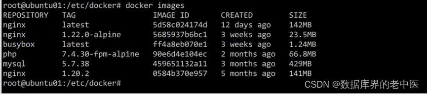 极客云 docker 数据备份 极客云官方_nginx_93