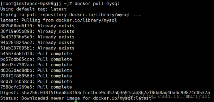 centos docker 容器 安装ping docker安装centos有什么用_mysql_11