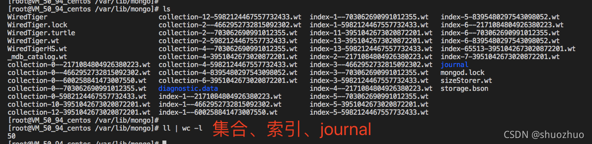 golang mongodb操作文档 mongodb 官方文档_数据库_05