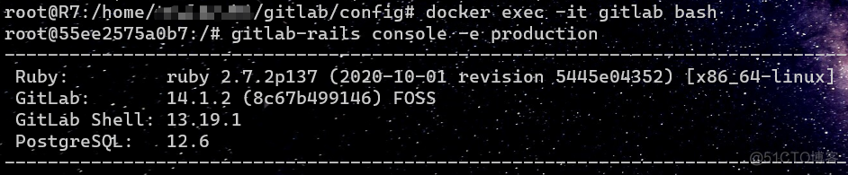 docker gitlab 配置免密登录 windows docker gitlab_docker_04