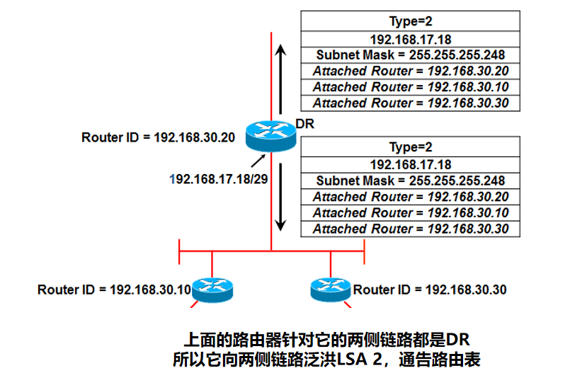 交换机  正交CLOS架构 交换机lsa_OSPF路由协议_03