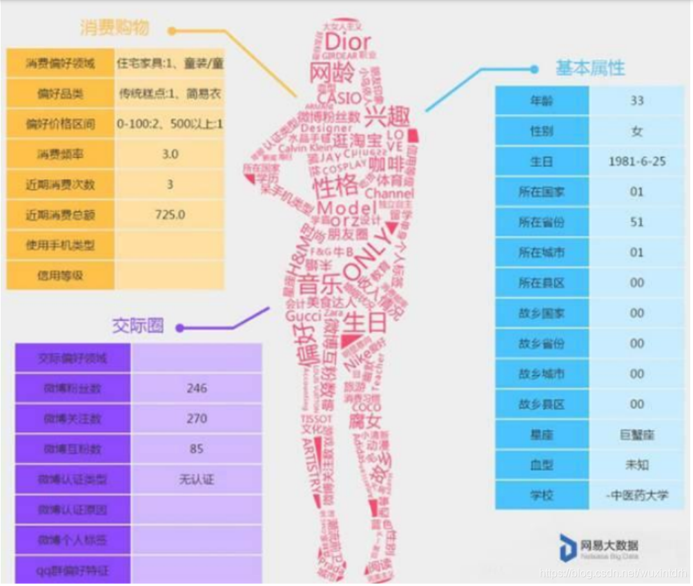 java用户画像行为分析 用户画像接口_用户画像_25