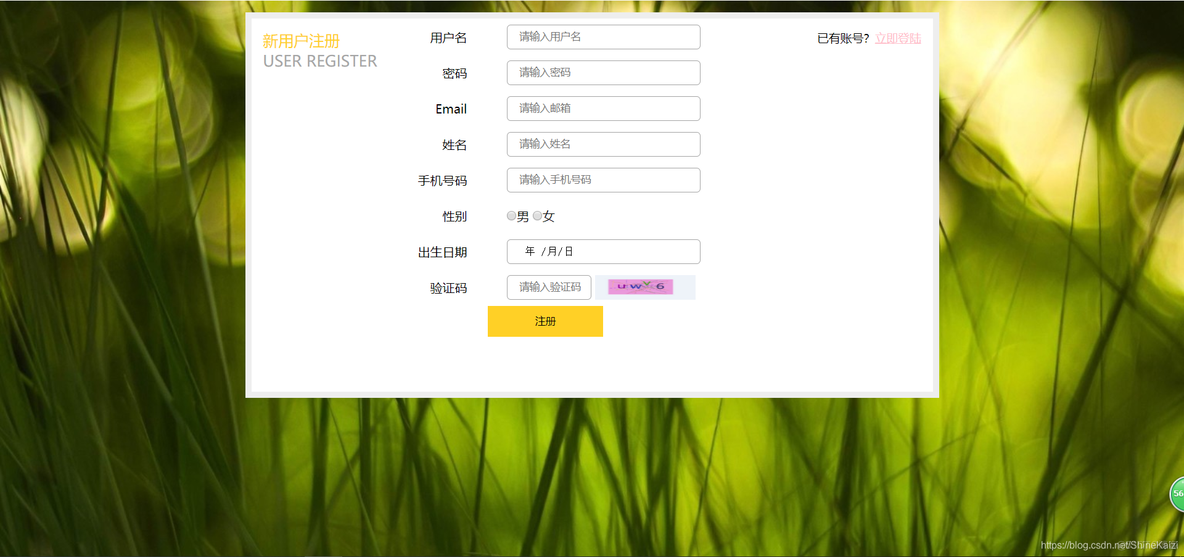 html5注册表单 html注册页面_用户名_03