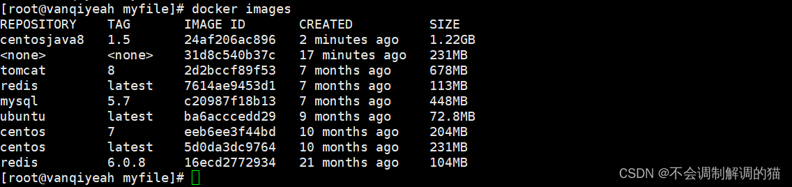 dockerfile 如何pip uninstall dockerfile 如何运行多个容器_云原生_19