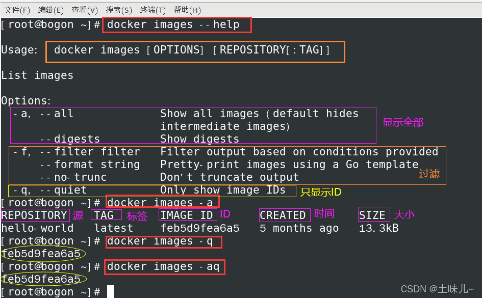 查看docker镜像的版本 查看docker镜像大小_Docker_05