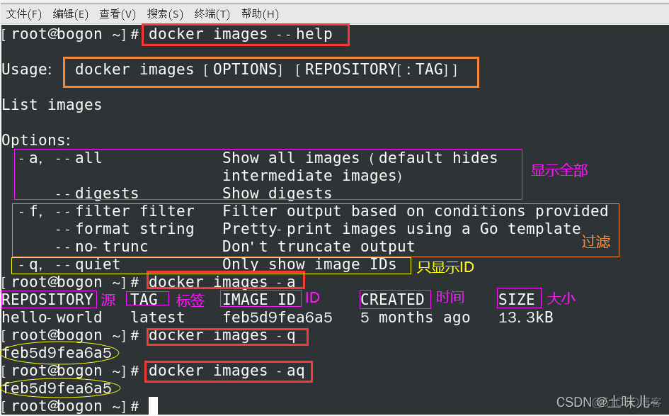 查看docker镜像的版本 查看docker镜像大小_Docker_05