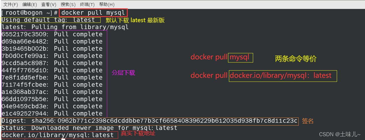 查看docker镜像的版本 查看docker镜像大小_Docker_10