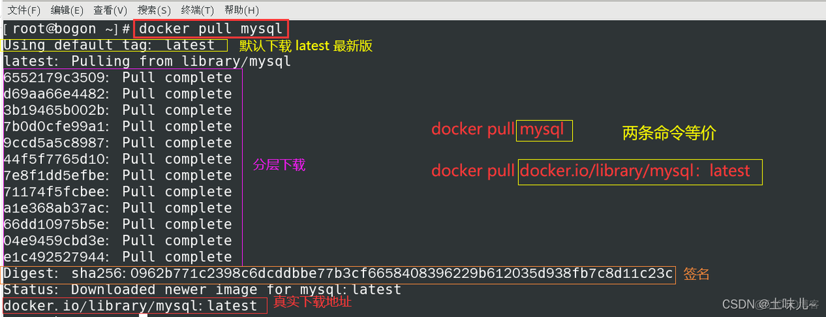 查看docker镜像的版本 查看docker镜像大小_Docker_10