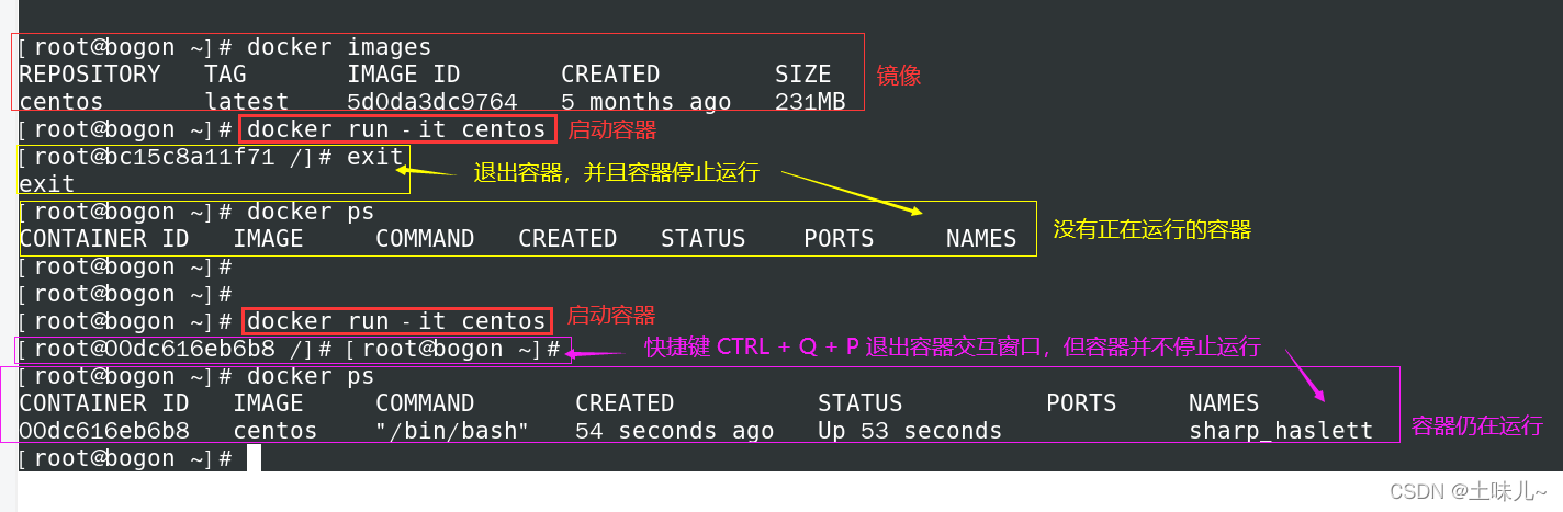 查看docker镜像的版本 查看docker镜像大小_查看docker镜像的版本_20