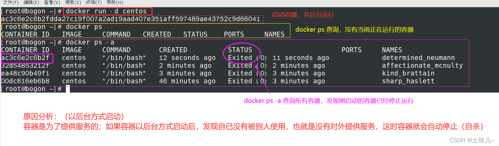 查看docker镜像的版本 查看docker镜像大小_docker_23