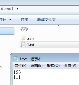 java app版本管理 java版本控制工具有哪些_版本控制工具_13