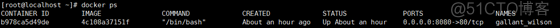 docker 搭建tcp 服务器 使用docker搭建apache环境_Apache_16