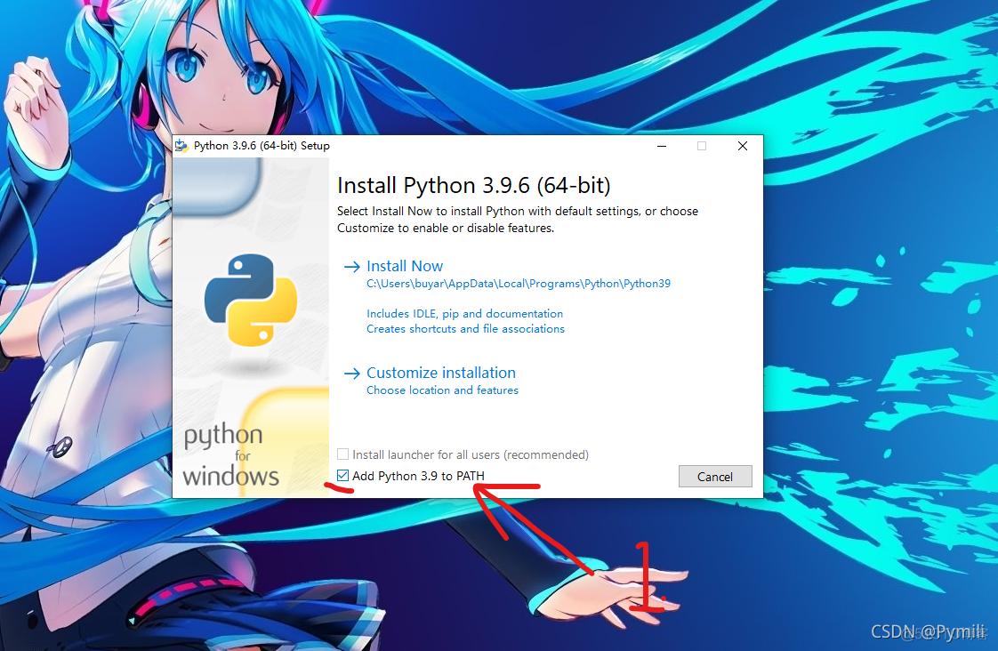 python的安装步骤 python安装步骤3.9.6_安装包_07