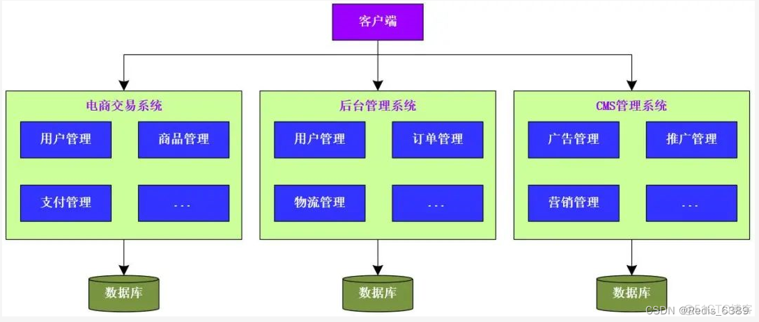 架构的演进 架构演进微服务进入_分布式架构_02