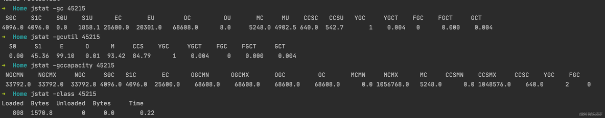 java jvm性能优化 jvm性能调优_开发语言_21