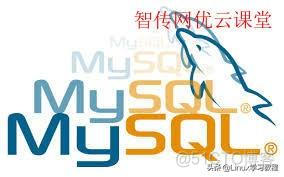 mysql删除用户的命令是什么 mysql删除用户账号命令_mysql删除用户的命令是什么_02