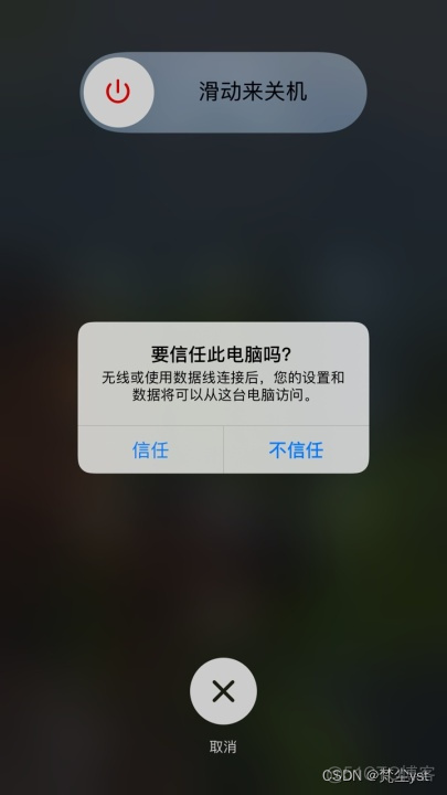 ios死机强制重启 苹果死机,强制关机_重新启动_06