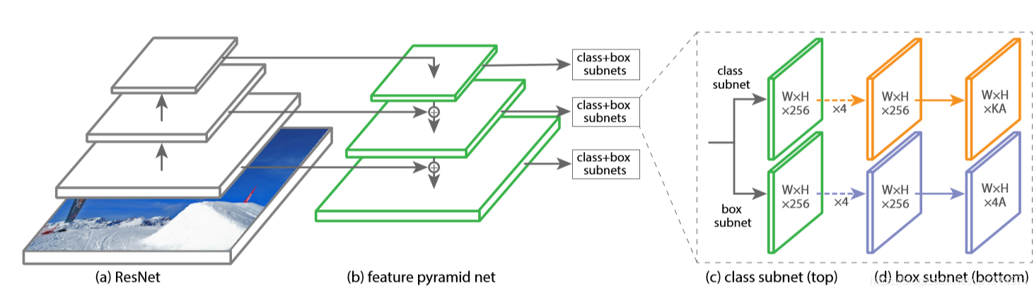 18修改 pytorch resnet pytorch retinanet_卷积神经网络