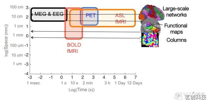 ADNI神经影像数据分析 神经影像技术_脑科学_07