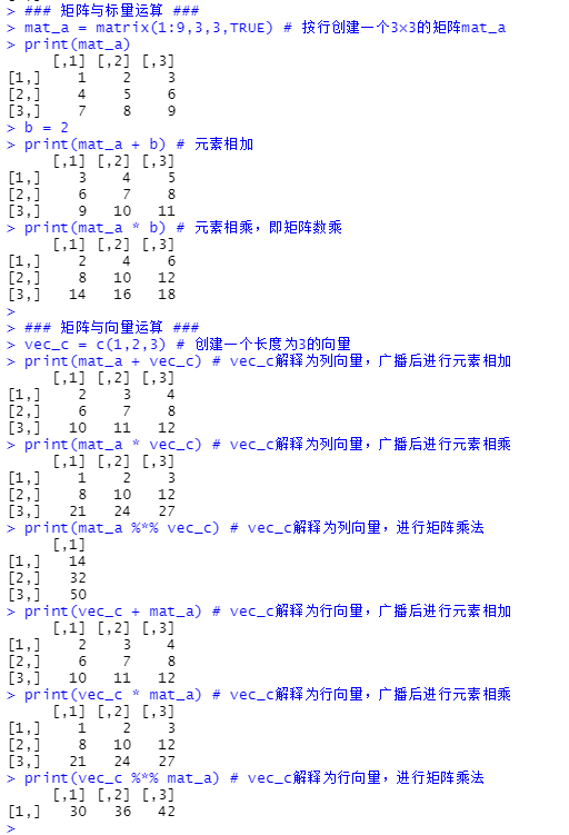 R语言创建数字向量 r语言创建一个向量_开发语言_05