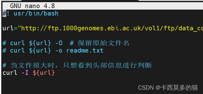 bash调用javascript bash scripting,bash调用javascript bash scripting_bash_25,第25张