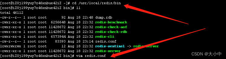 centos redis 配置文件目录 linux redis配置文件_Redis_10