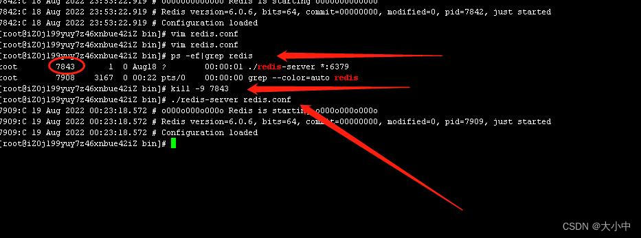 centos redis 配置文件目录 linux redis配置文件_Redis_12