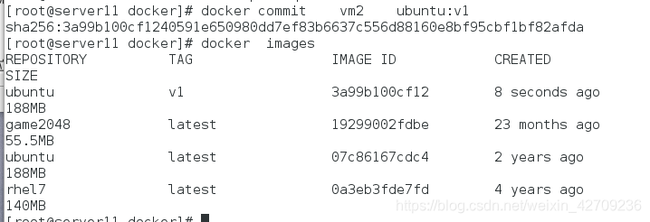 docker 功能点 docker可以实现什么功能_nginx_07