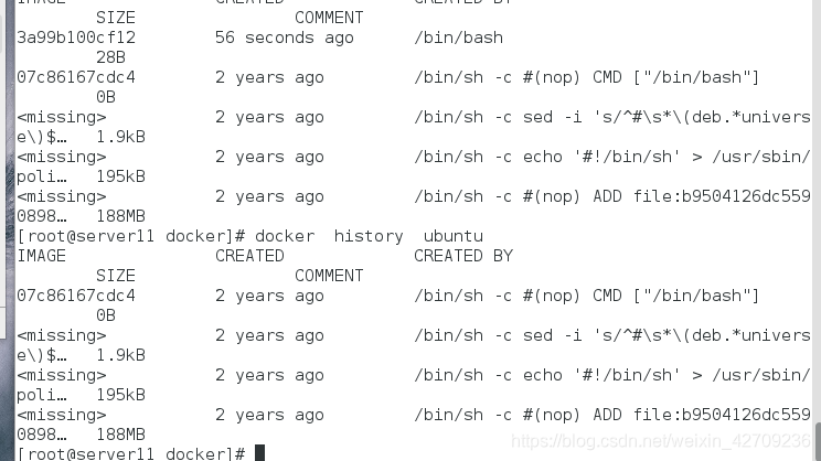 docker 功能点 docker可以实现什么功能_nginx_09