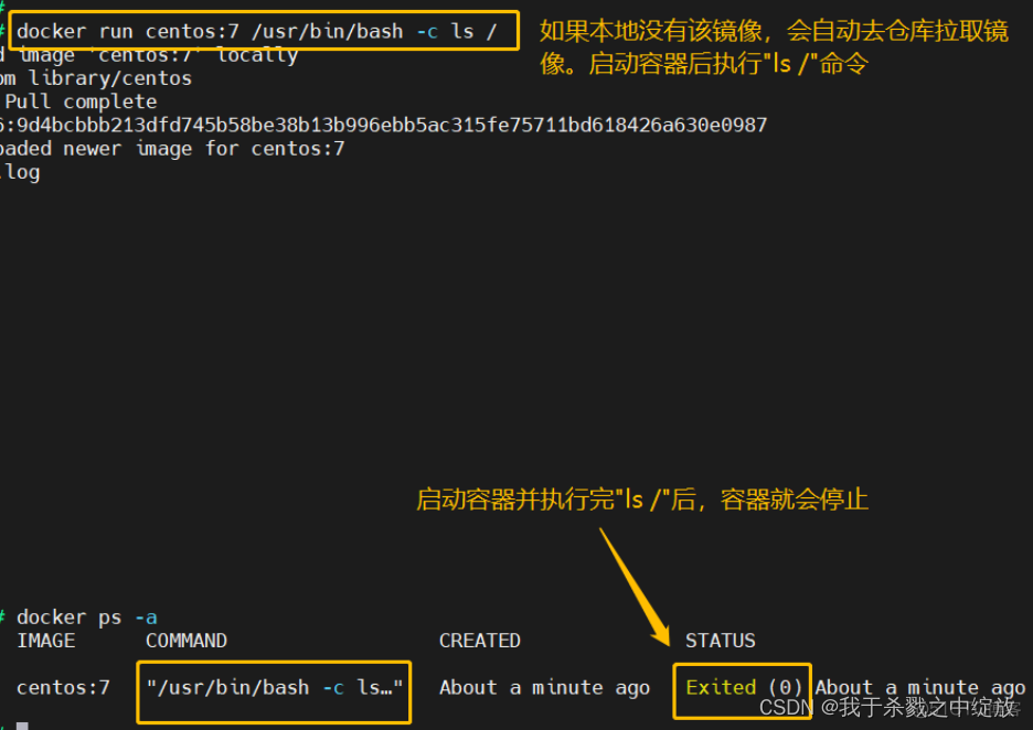 docker 如何管理代码 docker管理程序_docker_04