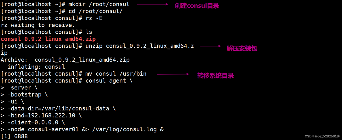 docker启动命令 jenkins docker启动consul_nginx