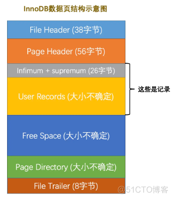 echo显示mysql查询结果 mysql查询数据显示格式_mysql_03