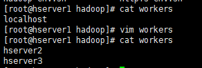 hadoop 完整版 hadoop 3.3_linux_14