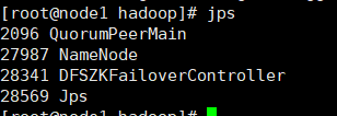 hadoop 节点dead hadoop集群中的节点_大数据_14