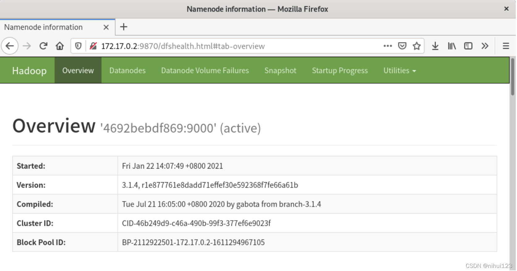 hadoop 集群管理平台 hadoop集群运行3个模式_hdfs_02