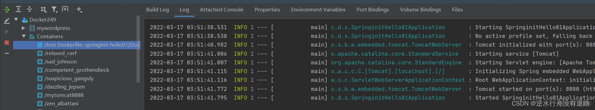 idea 如何启动docker的镜像 docker idea一键部署教程_jar_12