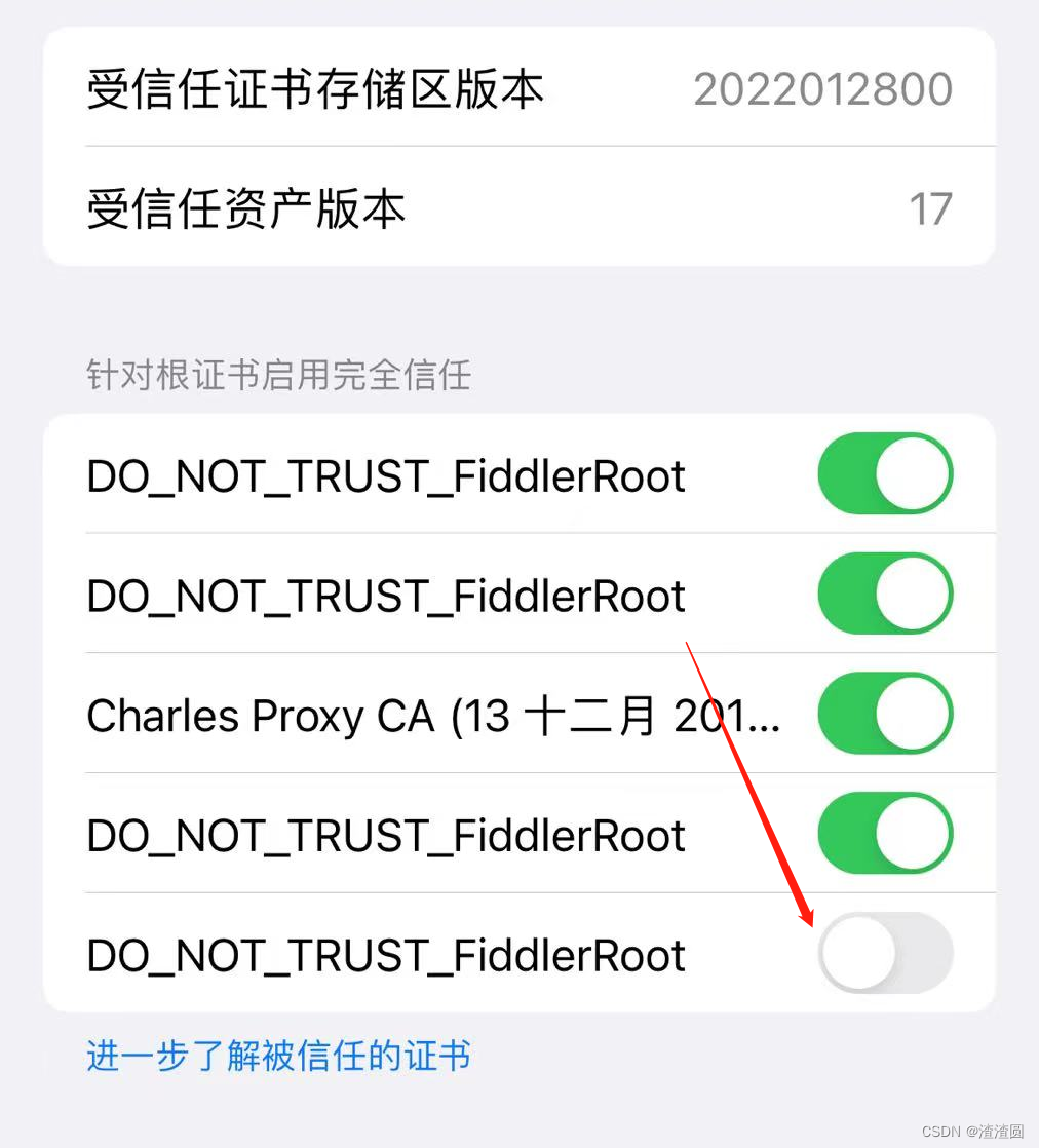 ios试玩fd抓包 ios抓包工具fiddler_服务器_09