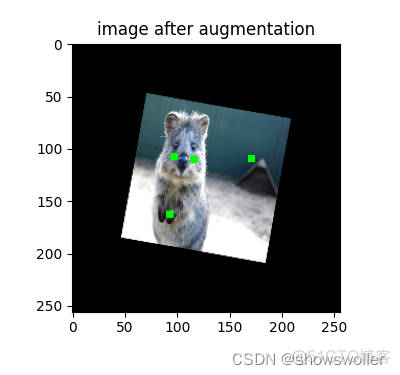 python imgkit 图片大小 python imgaug_python imgkit 图片大小_03