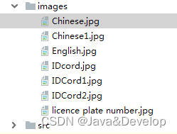 java 识别汉子 java实现ocr文字识别_json_03