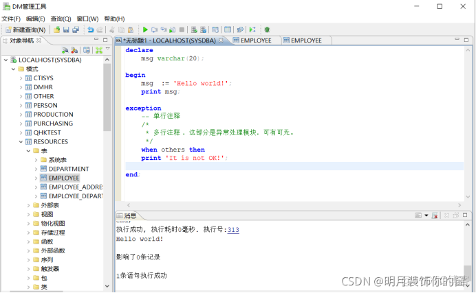 达梦 SQL Server参数定义 达梦数据库 plsql_database