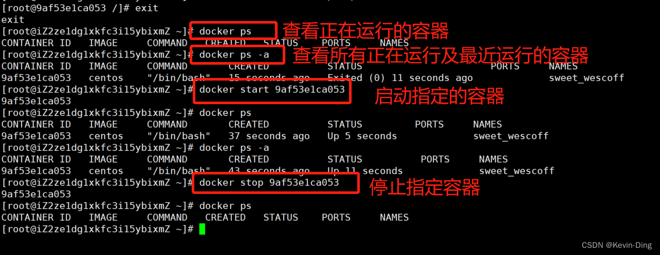 Docker 在线文档协作 docker官方文档_Docker_15